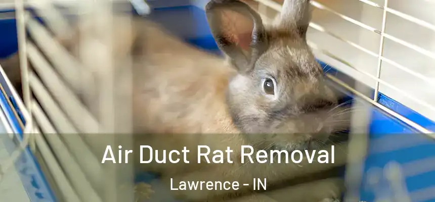  Air Duct Rat Removal Lawrence - IN