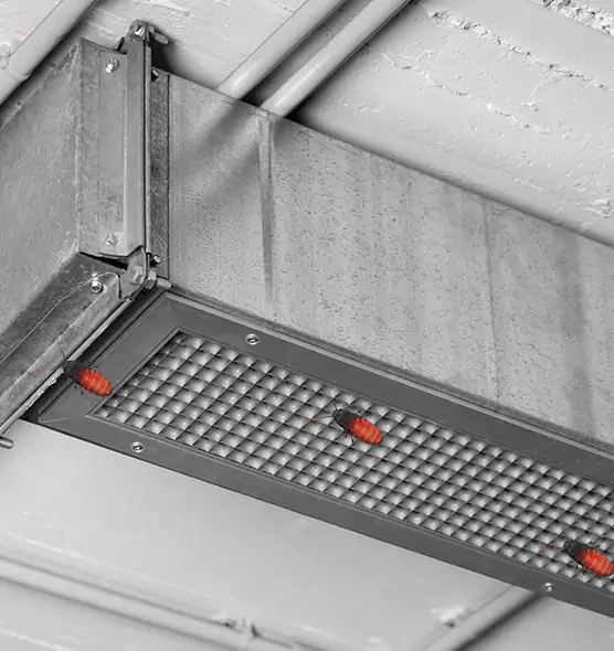 About Air Duct Cockroach Removal in Lawrence, IN