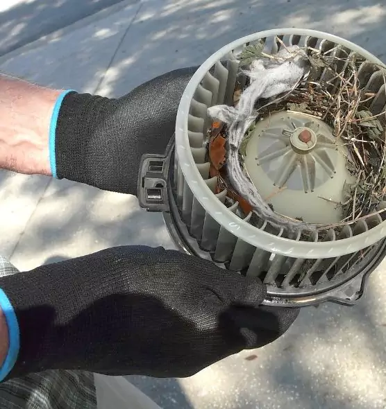 About Air Duct Mice Removal in Lawrence, IN