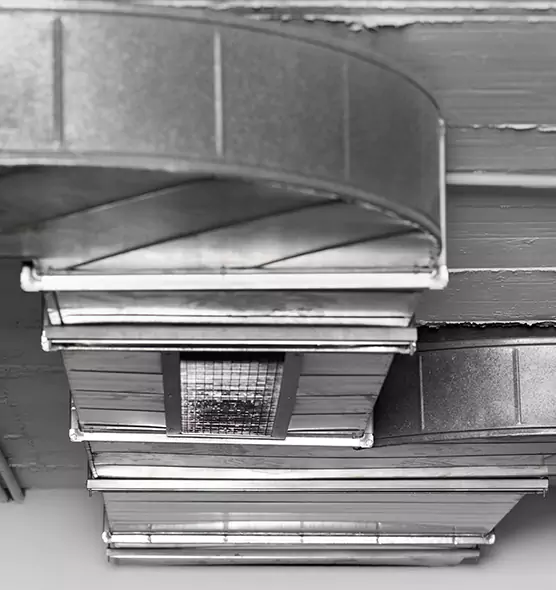 Professional Air Duct Pet Hair Removal in Lawrence, IN