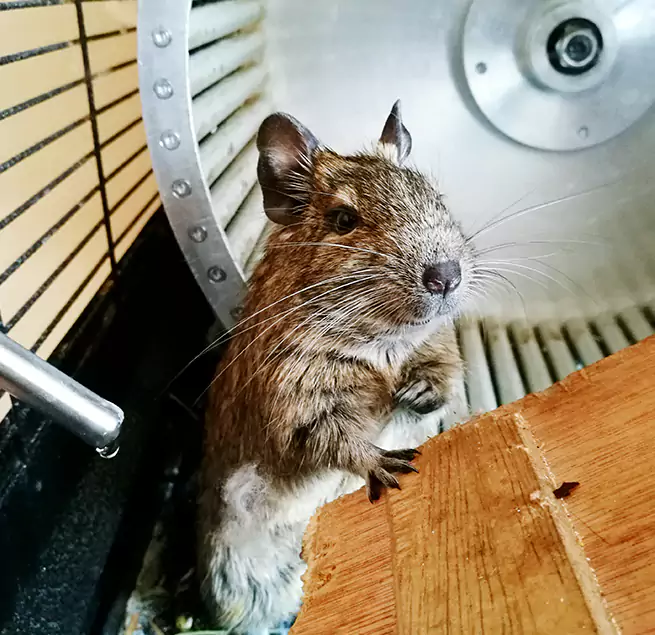 Why Homeowners & Businesses Trust Us Lawrence, IN